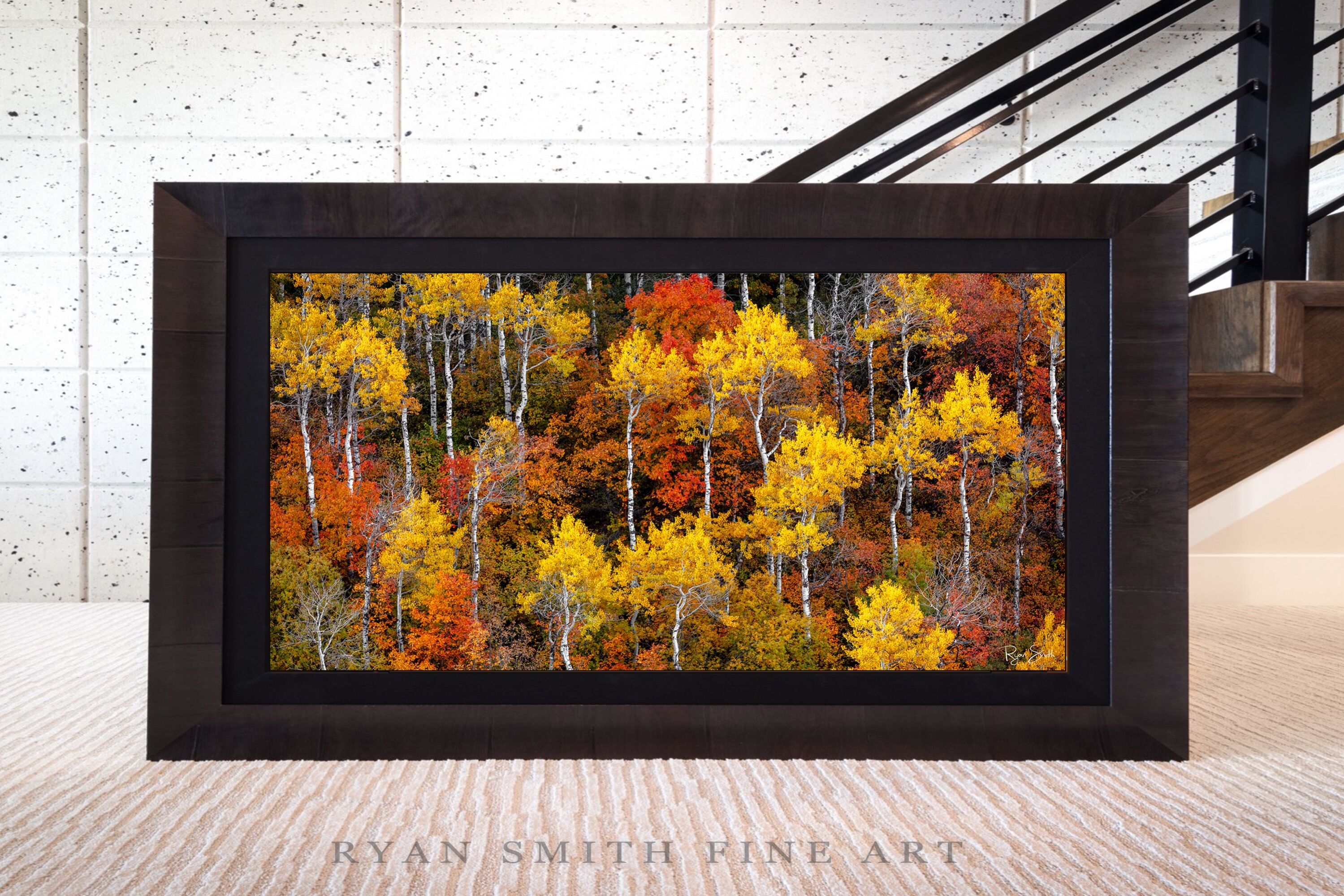 Limited Lumachrome Acrylic Roma Framed print preview