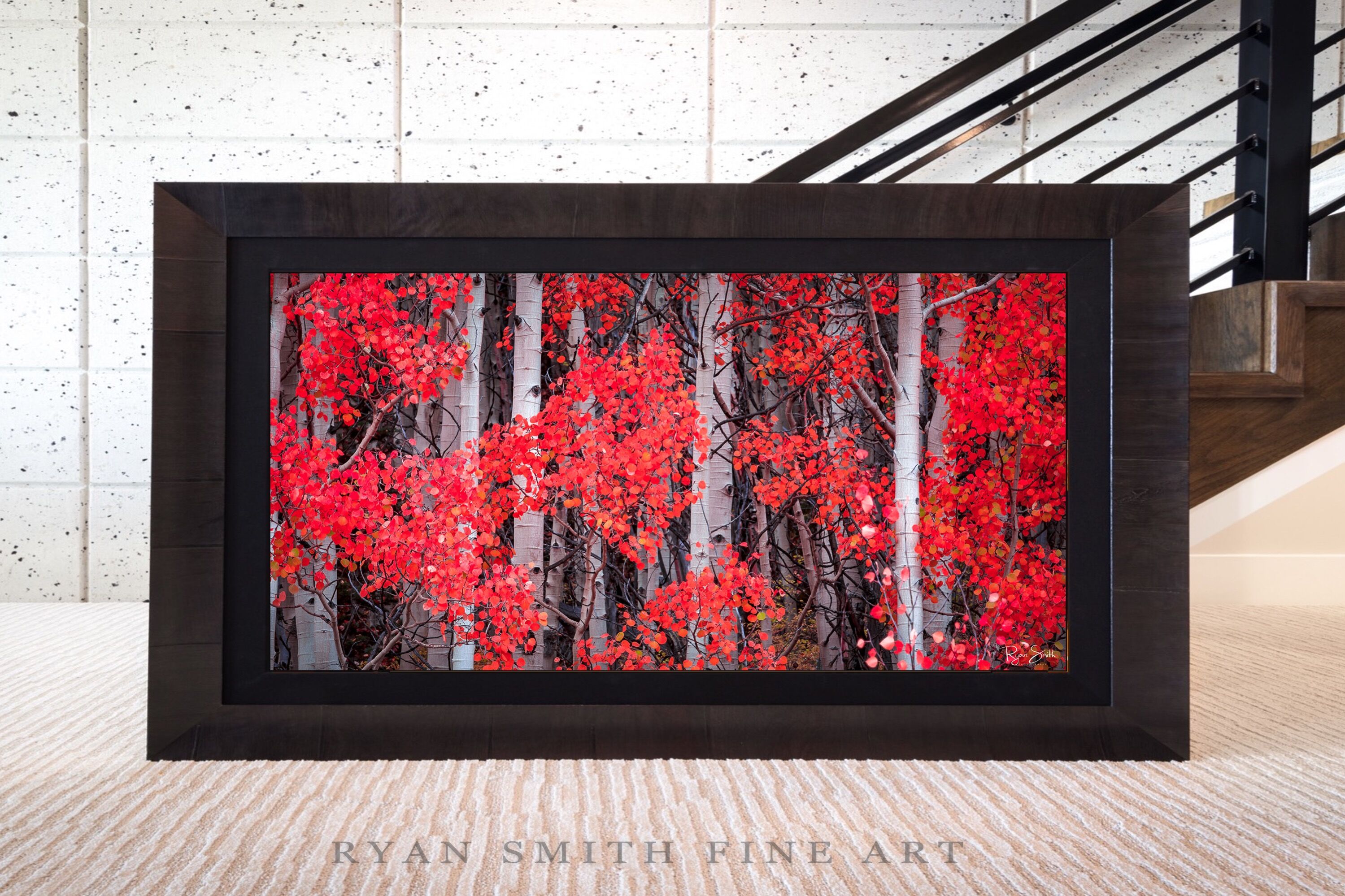 Limited Lumachrome Acrylic Roma Framed print preview