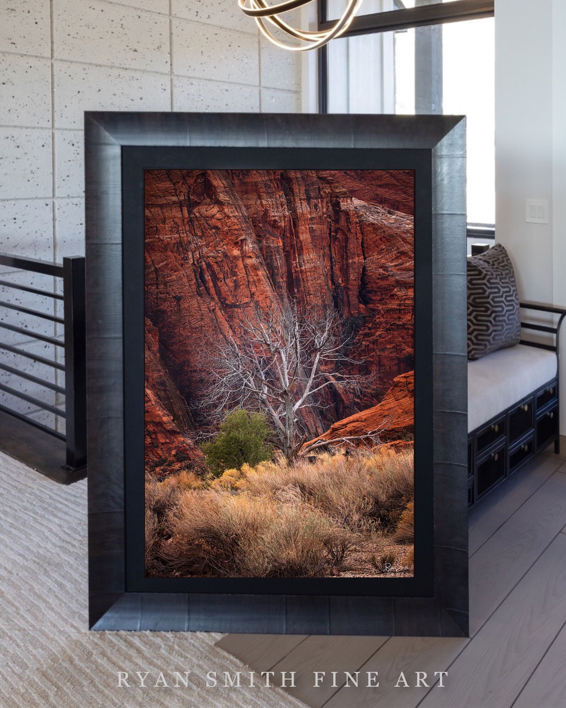 Limited Lumachrome Acrylic Roma Framed print preview