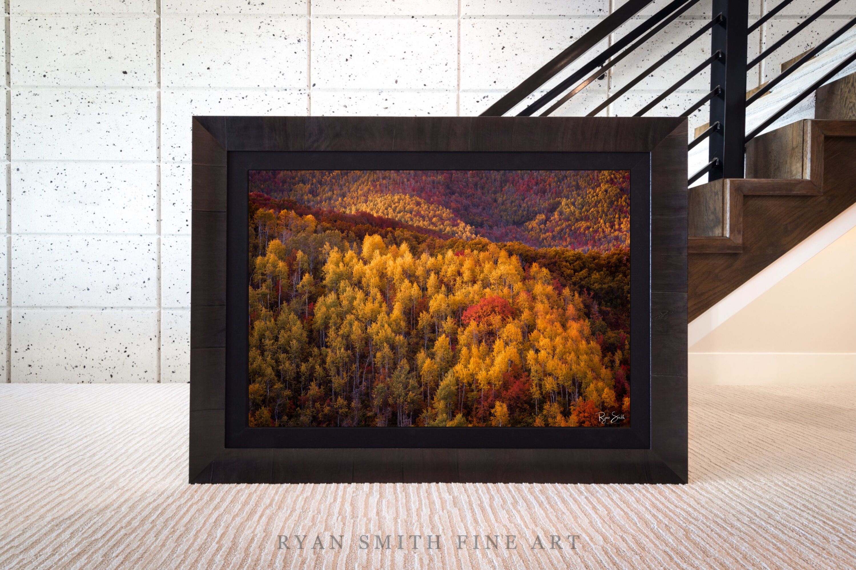 Limited Lumachrome Acrylic Roma Framed print preview