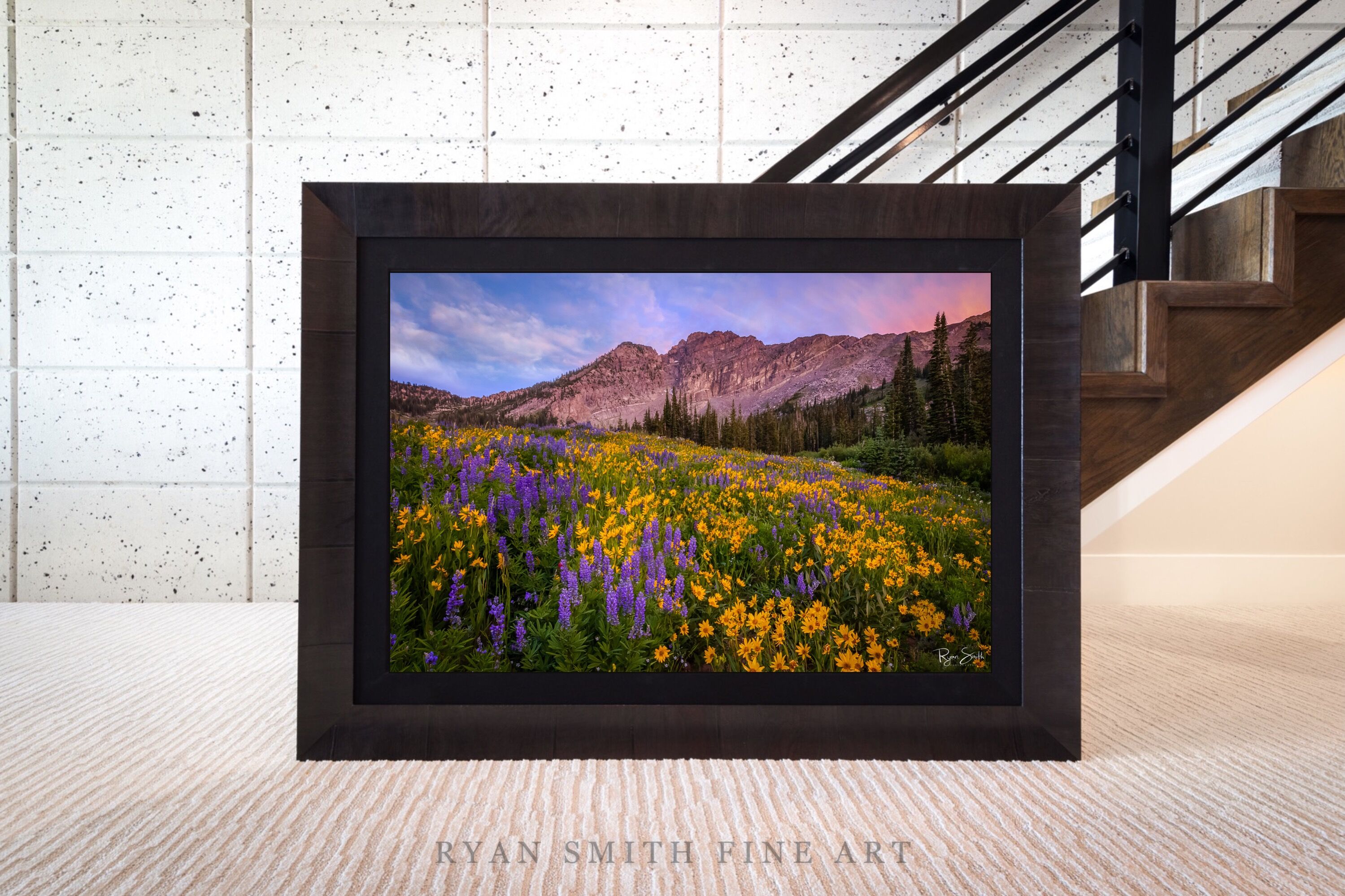 Limited Lumachrome Acrylic Roma Framed print preview