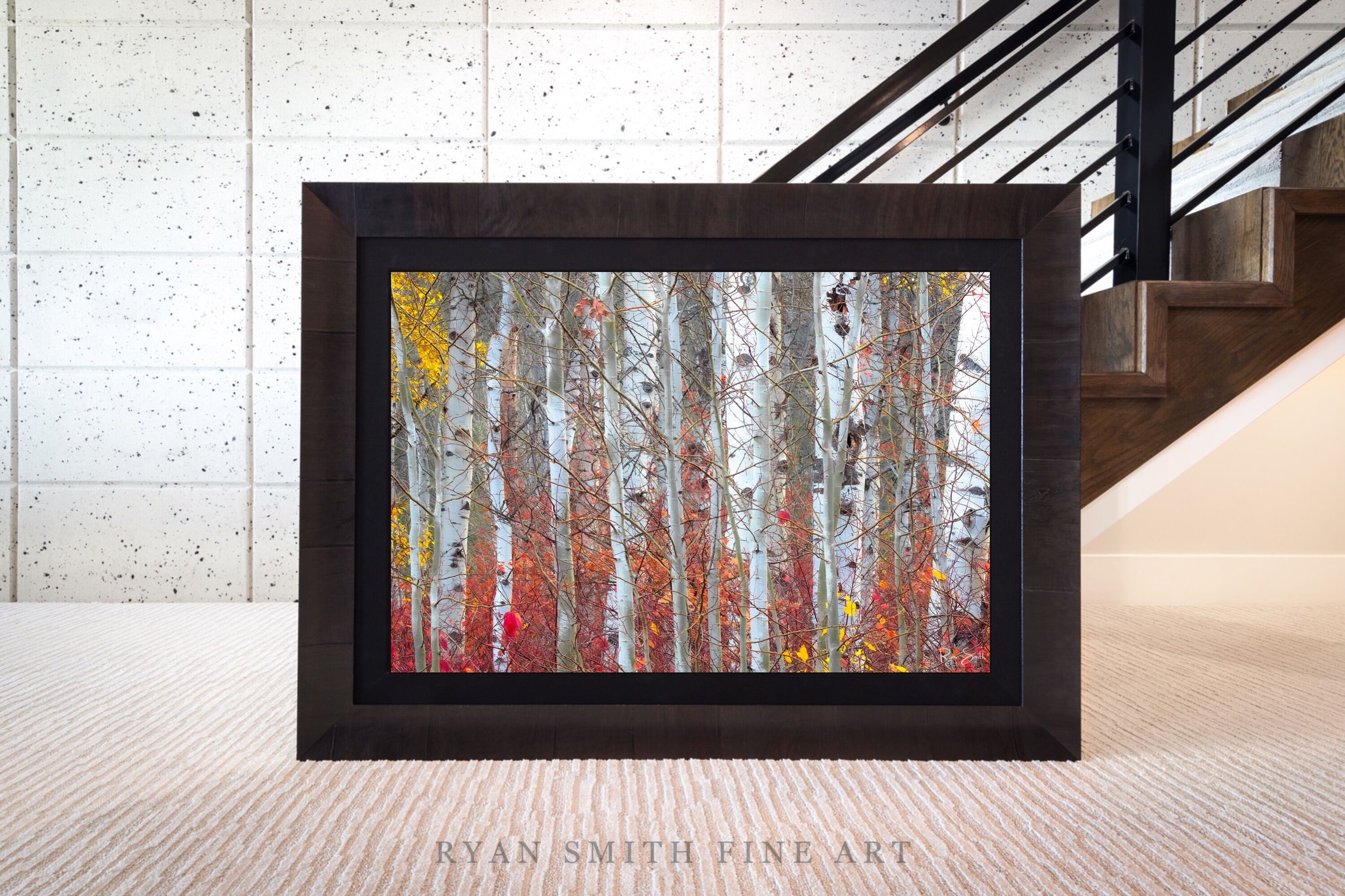Limited Lumachrome Acrylic Roma Framed print preview