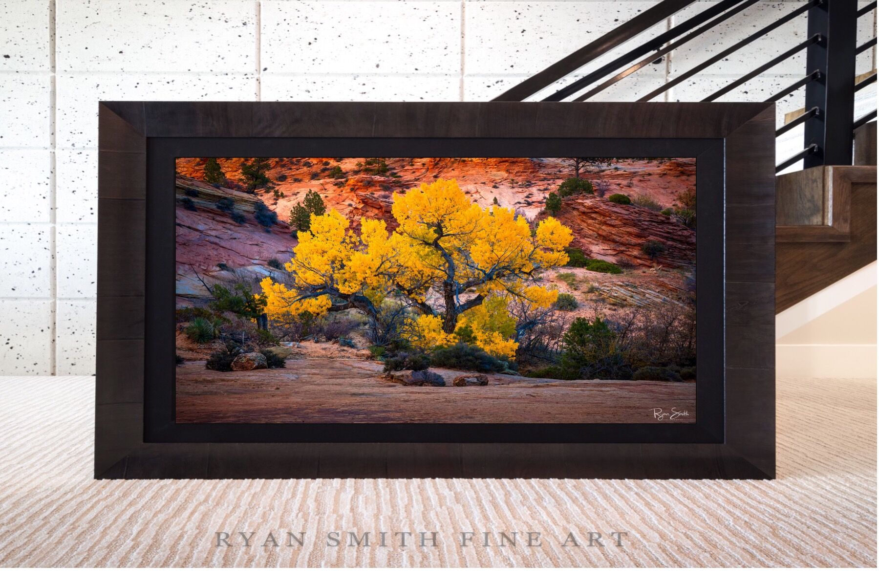 Limited Lumachrome Acrylic Roma Framed print preview