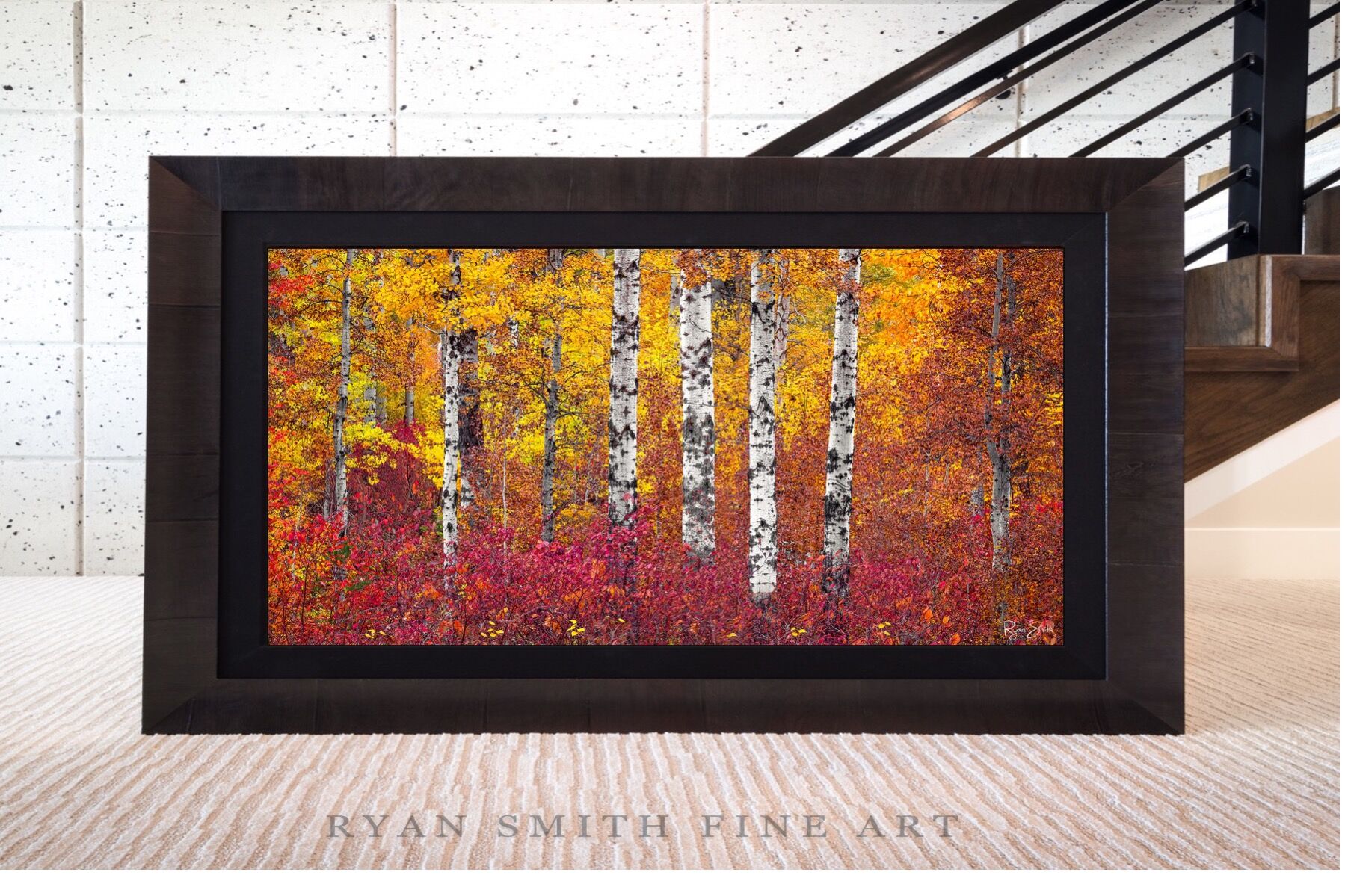 Limited Lumachrome Acrylic Roma Framed print preview