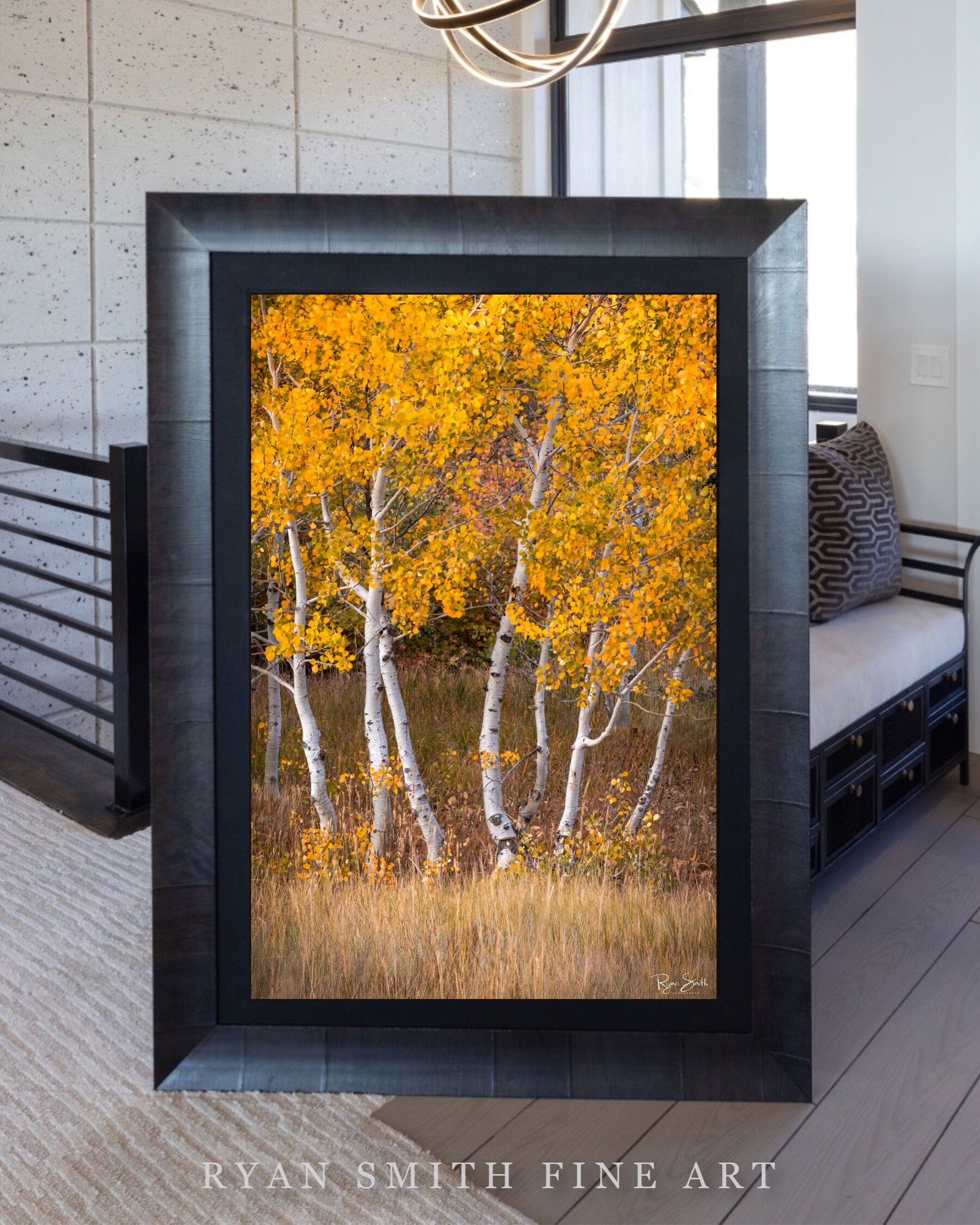 Limited Lumachrome Acrylic Roma Framed print preview