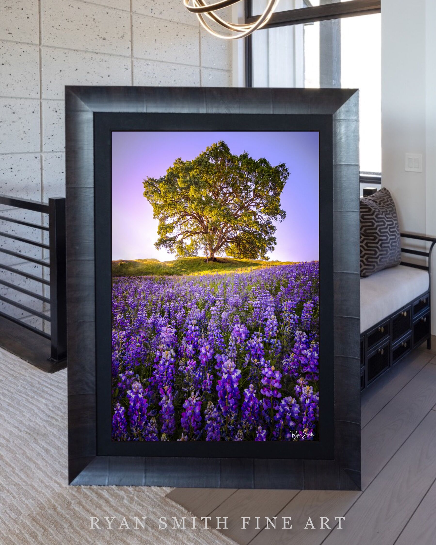 Limited Lumachrome Acrylic Roma Framed print preview