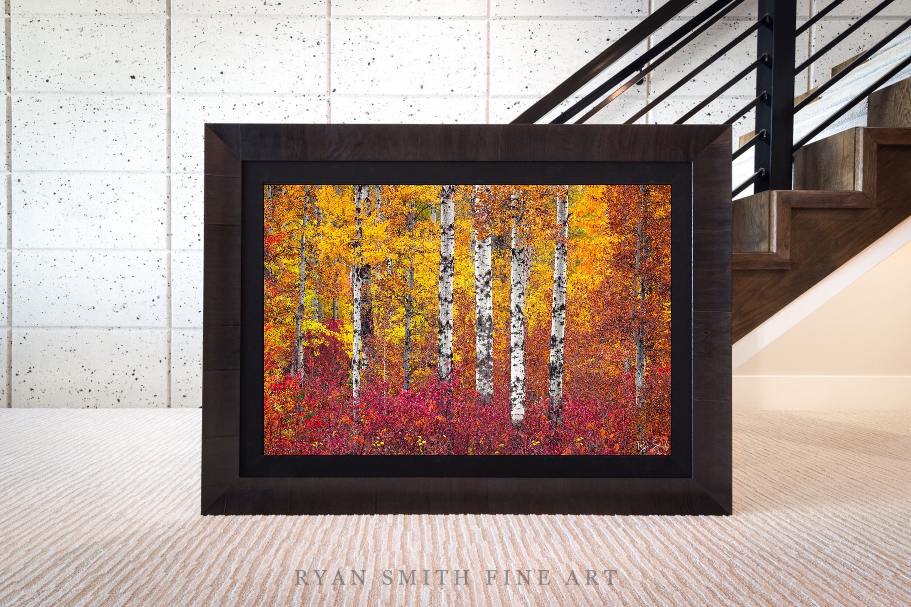 Limited Lumachrome Acrylic Roma Framed print preview