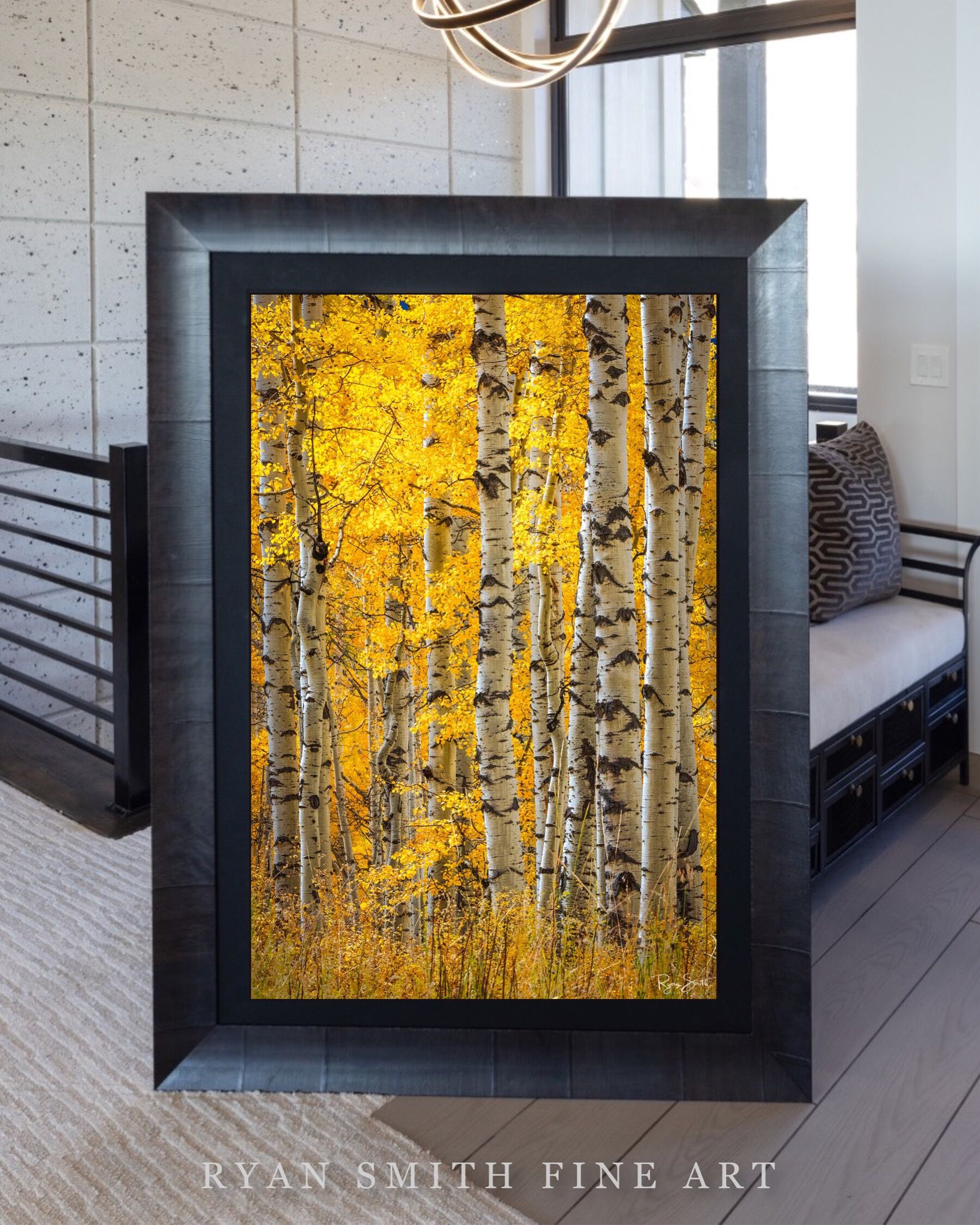 Limited Lumachrome Acrylic Roma Framed print preview