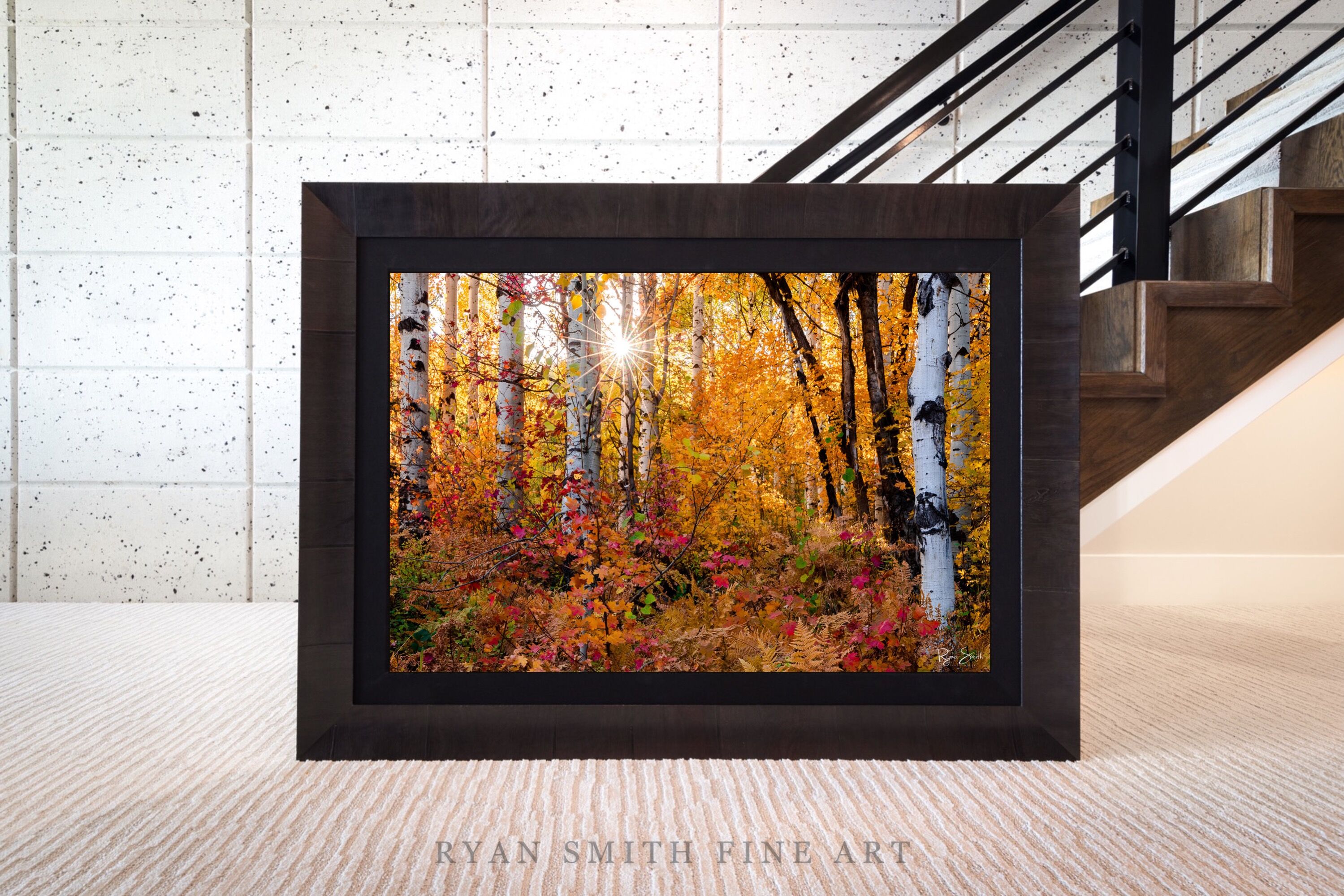 Limited Lumachrome Acrylic Roma Framed print preview