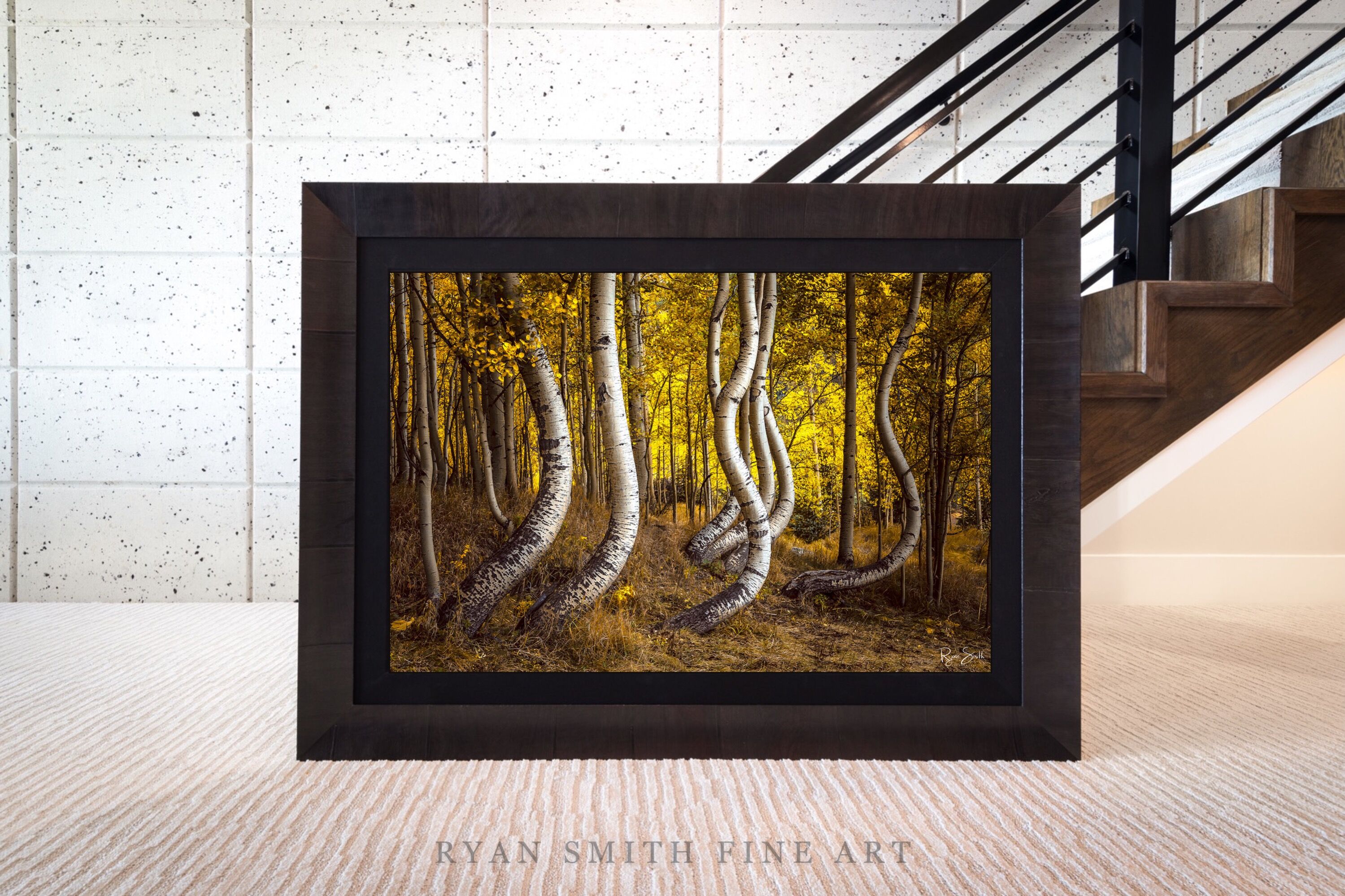 Limited Lumachrome Acrylic Roma Framed print preview