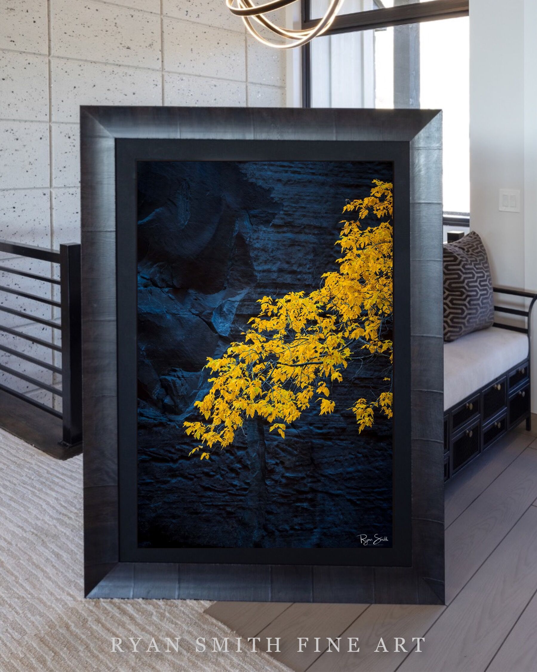 Limited Lumachrome Acrylic Roma Framed print preview