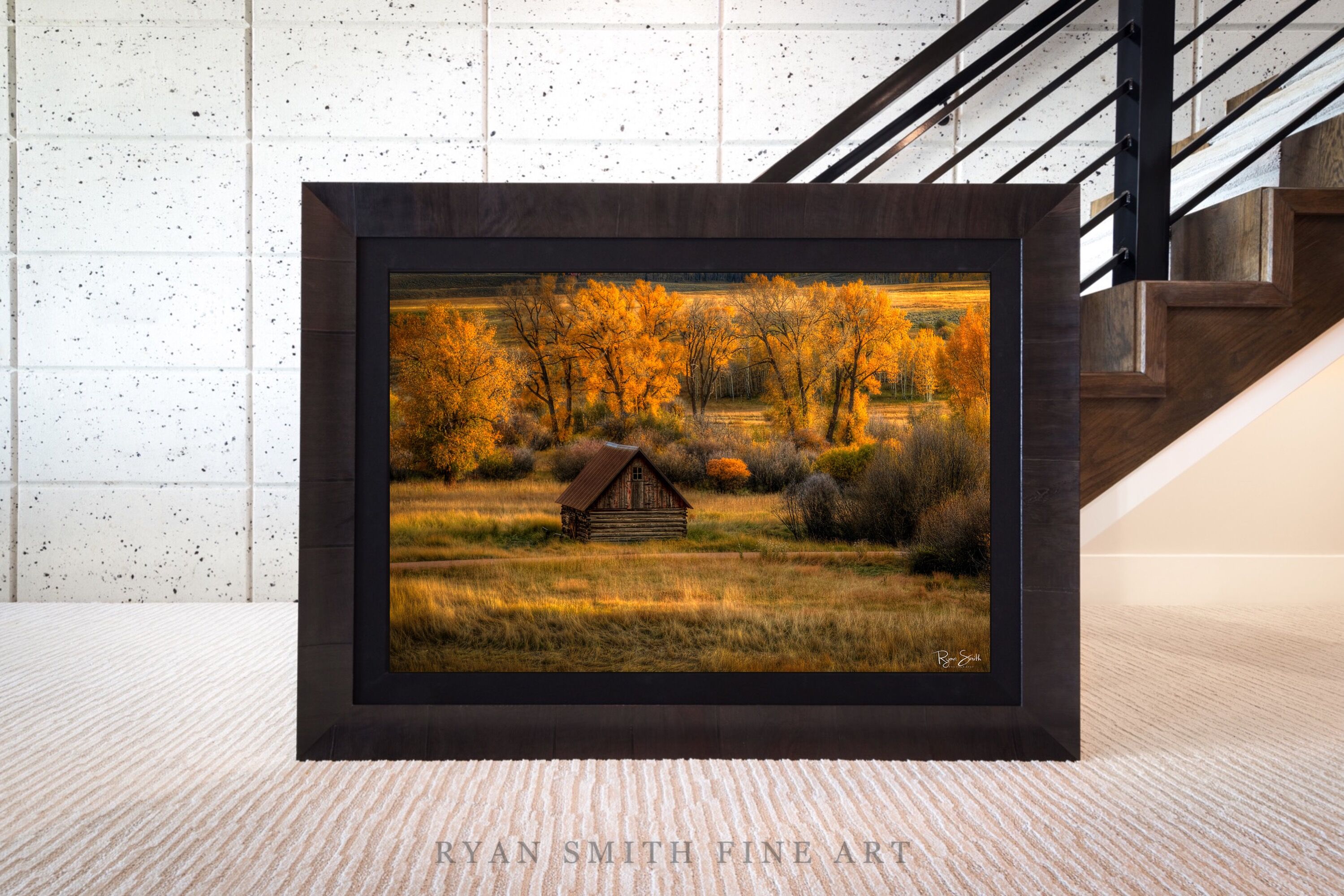 Limited Lumachrome Acrylic Roma Framed print preview
