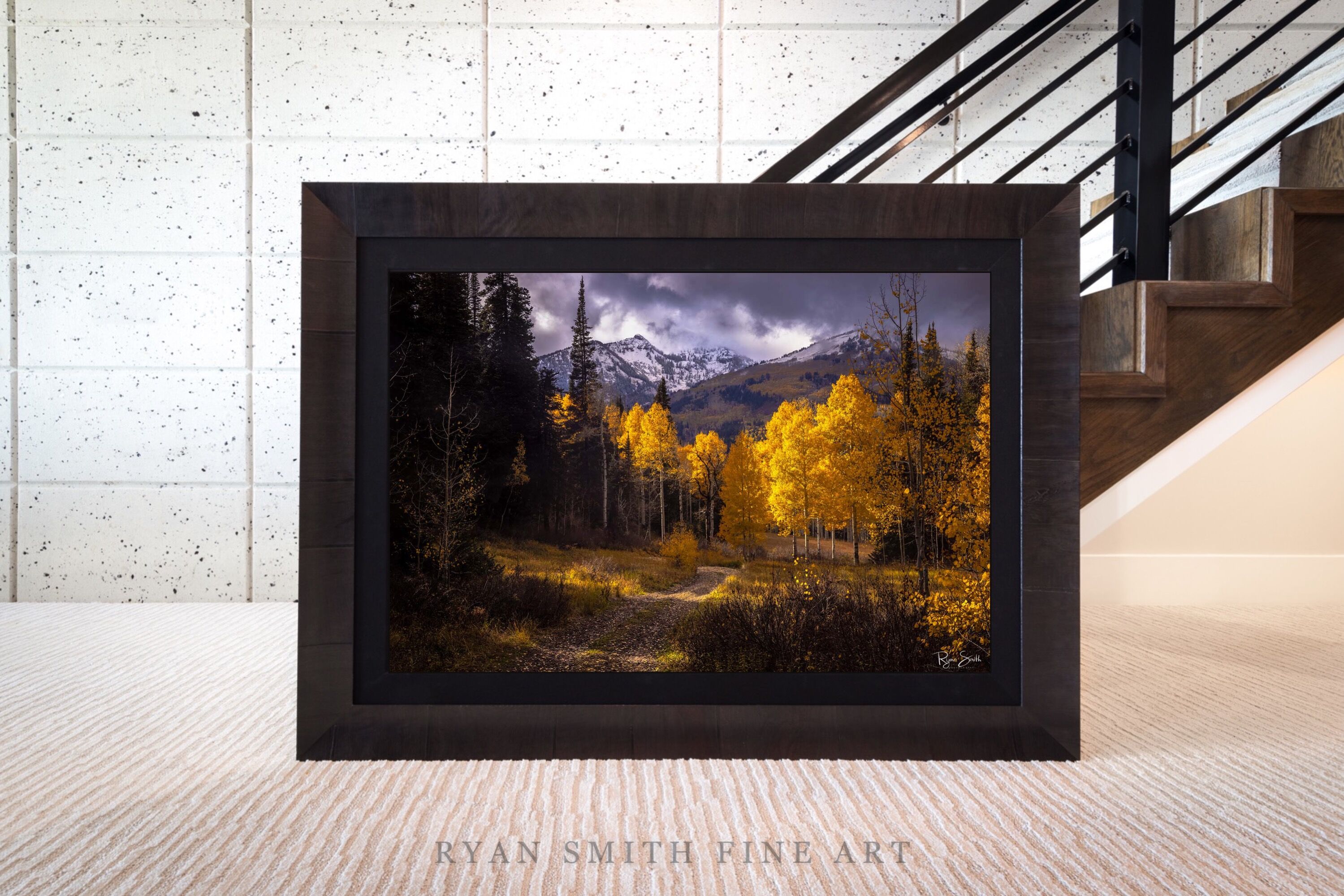 Limited Lumachrome Acrylic Roma Framed print preview