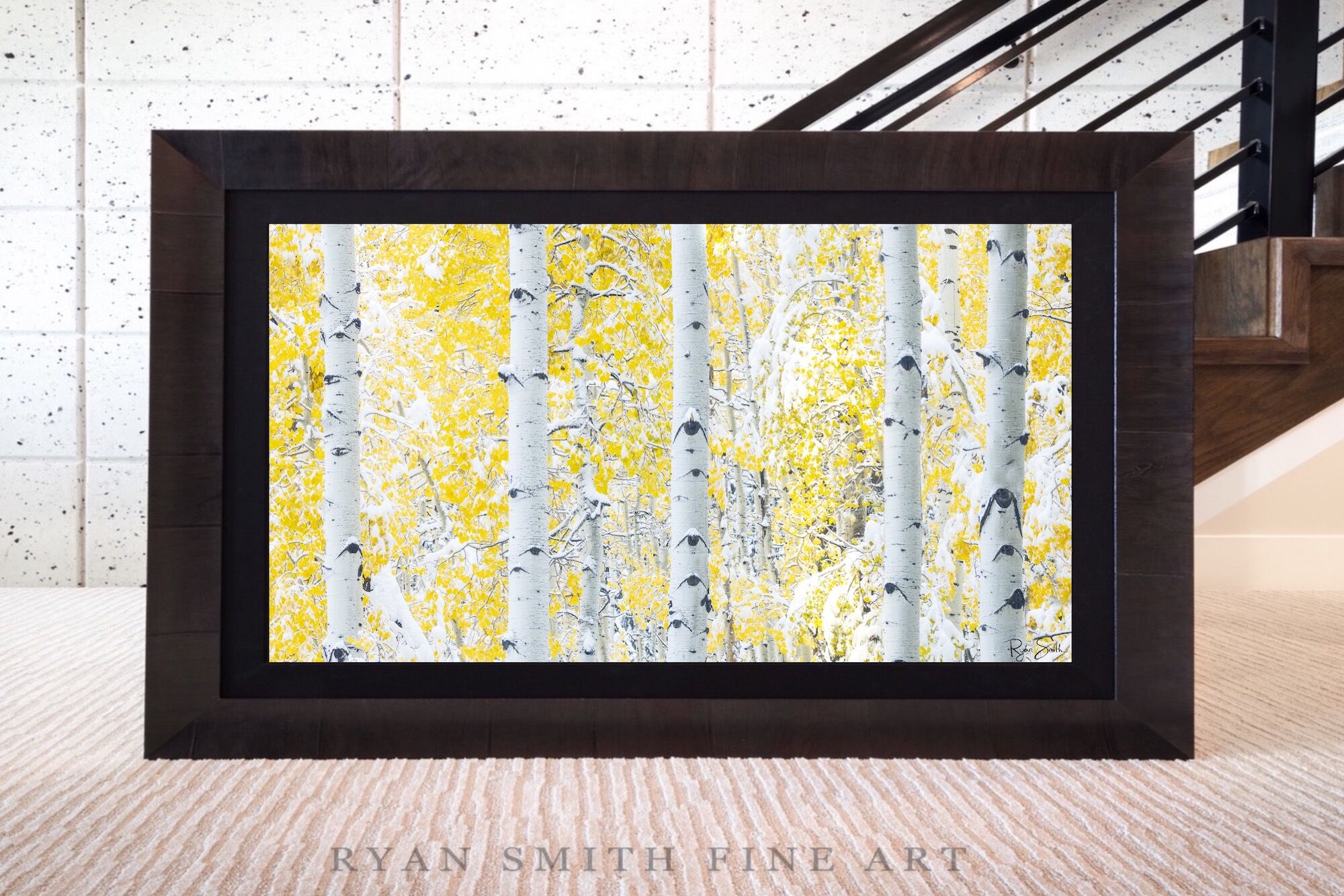 Limited Lumachrome Acrylic Roma Framed print preview