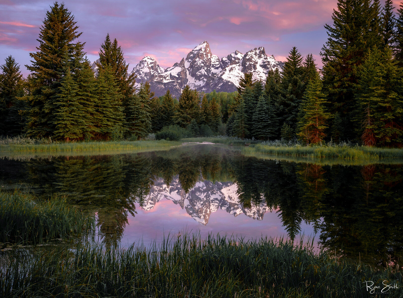 Grand mountain range at sunrise, framed by spruce trees, is reflected on the water.