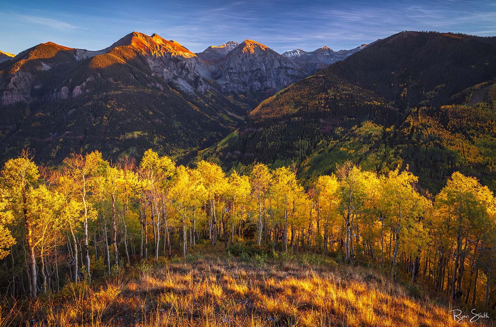 A line of yellow aspen trees at the top of a hill that stands in front of a mountain range in the distance likens a crown as the sun sets on the mountain tops.