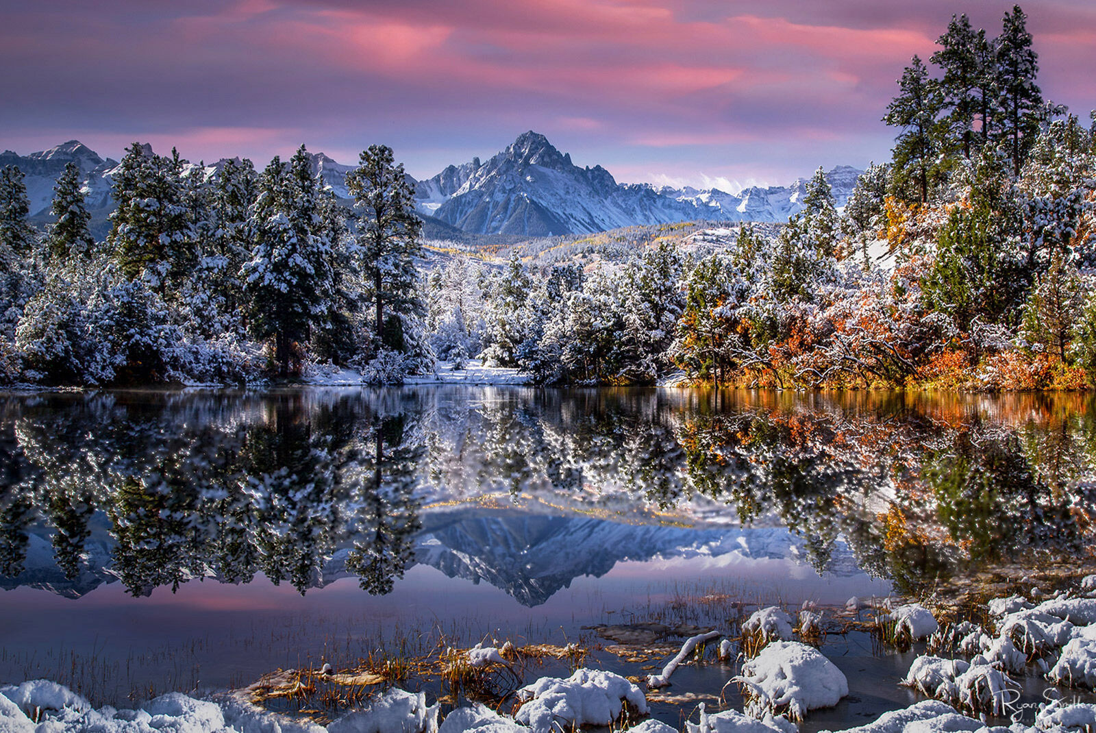 A pond reflects the nearby spruce and fall color aspen trees as well as the mountain in the skyline and the pink clouds at sunset.