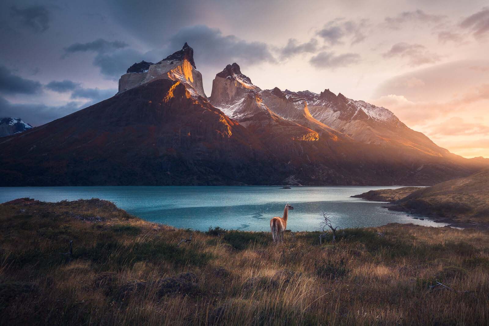 The Magic of Patagonia Photography Workshop